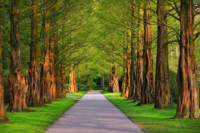 Un parco curato è fondamentale per il benessere di tutti